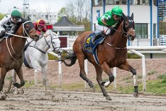 Havandi Spring Mile TOP