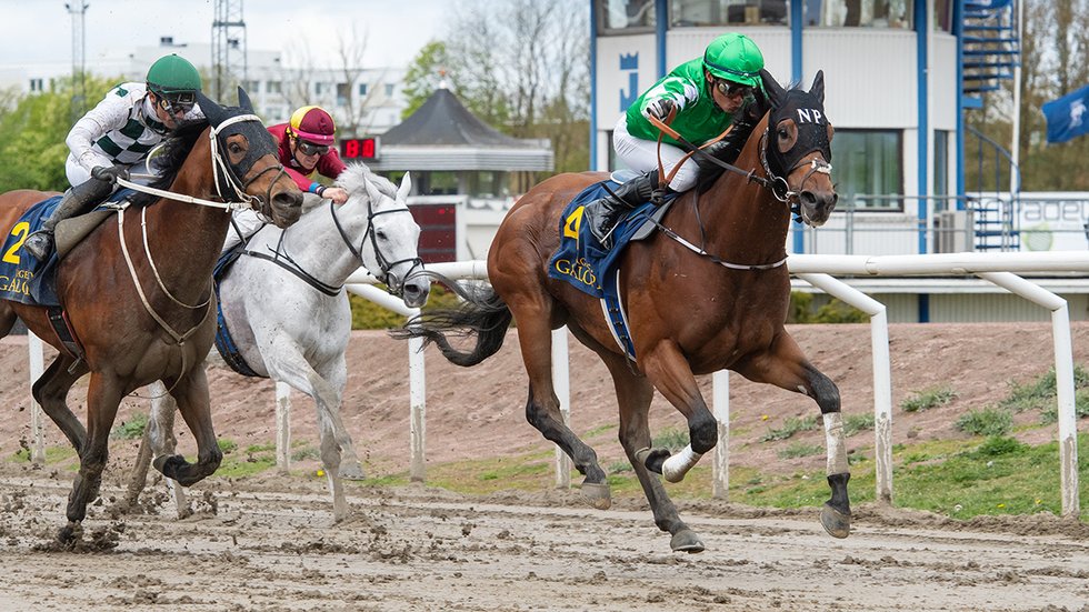 Havandi Spring Mile TOP