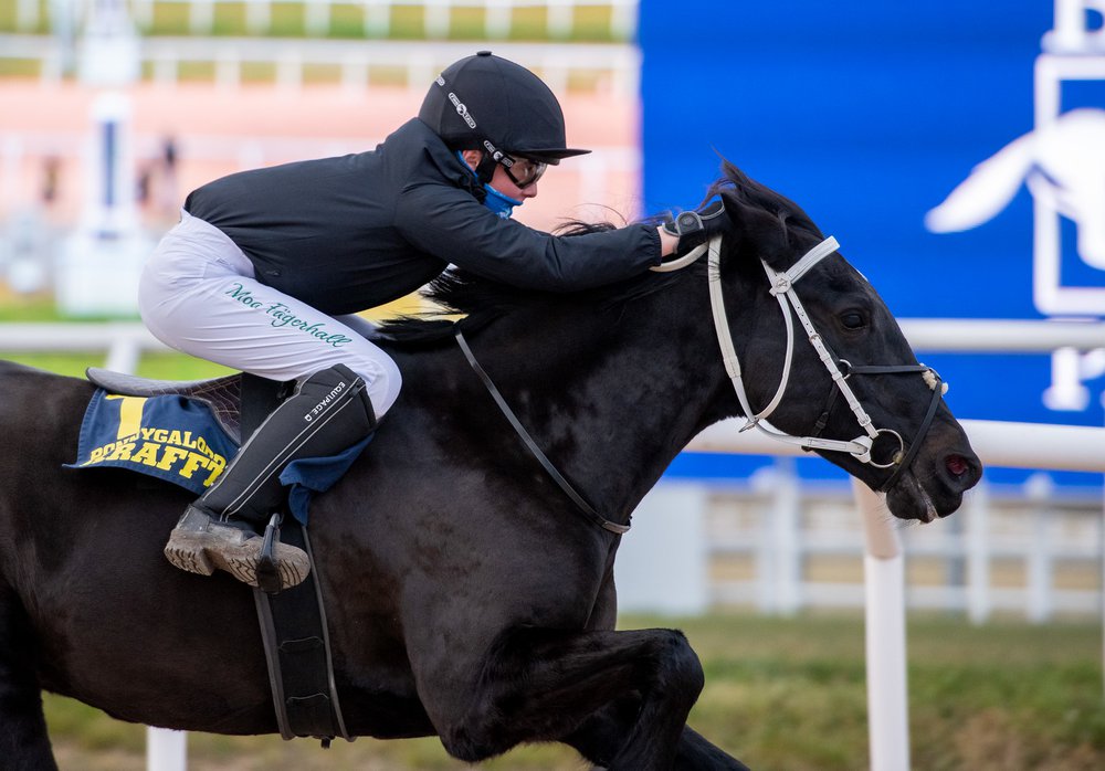 i-53Z4GJ7-X3 Moa Fägerhall och Melview B Diamond