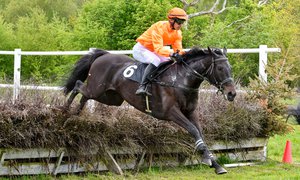 i-7fXSDP4-X3 Hades och Niklas Lovén segrar på Blommeröd 18 maj 2019