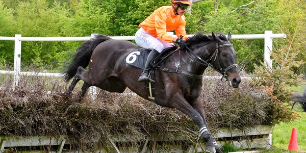 i-7fXSDP4-X3 Hades och Niklas Lovén segrar på Blommeröd 18 maj 2019