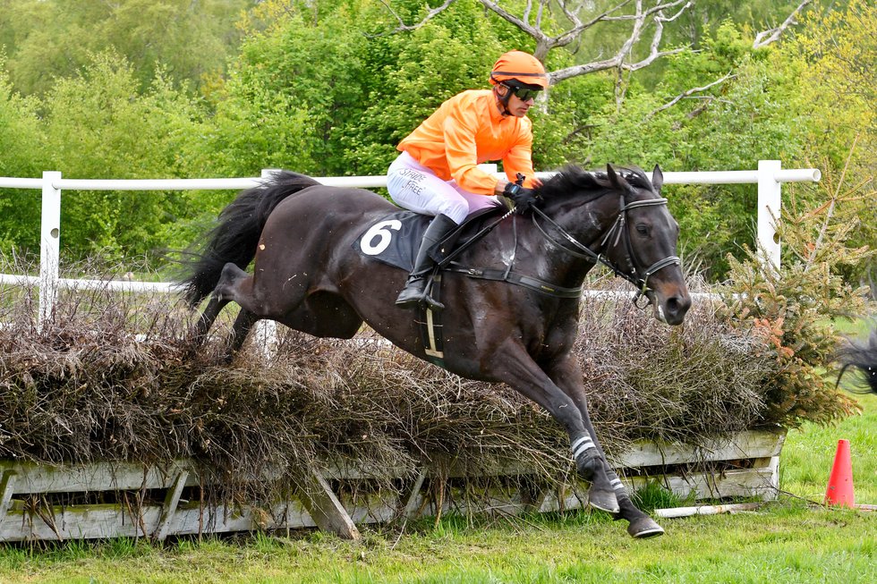 i-7fXSDP4-X3 Hades och Niklas Lovén segrar på Blommeröd 18 maj 2019