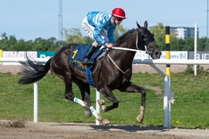 i-8StRWsh-X3  Auenfürst.jpg