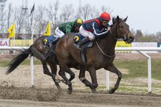 i-8cMMW37-X3 Beckham