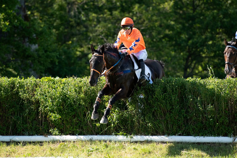 i-9HtGxn6-X3 Hades och Niklas Lovén vinner på Strömsholm 2019