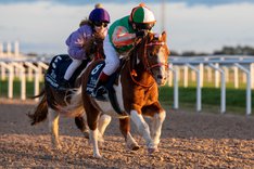 i-B77SsGC-X2 Emerald redigerad