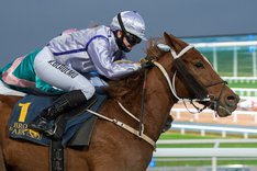 i-CWHtKP9-X3 von blucher.jpg