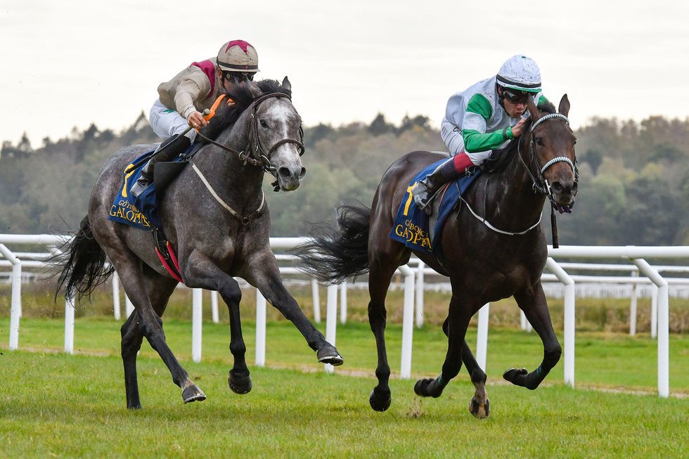 i-GWSHzRZ-X3Matchoffice vinner på Göteborg Galopp.jpg