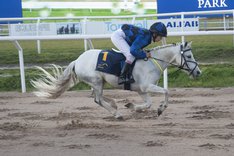 i-KfLrZZh-X3 Robert och Emma Dhakal.jpg