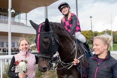 i-Kp2sFQd-X2 Wild Tobacco kopia