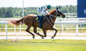 i-MB5BWBh-X2 Admiral De Vega mot mål Stockholms Stora Pris