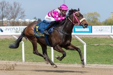 i-MJbjrLZ-X3 Point Boy.jpg