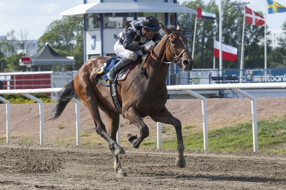 i-Nhdb22m-X3 Ayani och Oliver Wilson vinner Svenskt Derby 2023