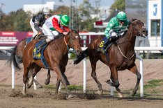 i-QRPb5Lv-X3 Suspicious Mind.jpg