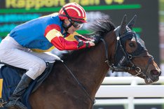 i-Rt3SJTV-X2 Barracuda kopia