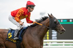 i-SVHDTwP-X2 Good Eye.jpg