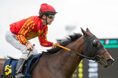 i-SVHDTwP-X2 Good Eye kopia