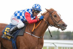 i-WCSfZ7T-X3 Ascot Brass.jpg