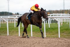 i-Z2DDjkV-X3 Freemanip och Alina Öhgren vinner i oktober 2023