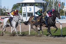 i-Z7kj3Mt-X3 Plantstepsdream vinner Peas And Carrots Mile 2023