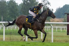 i-bPkGXjv-X3 Backcountry.jpg