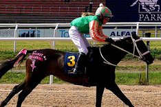 i-fsqQBVM-XL Secret Ballerina huvudbild kopia