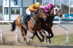 i-hfzVqQ4-X3 Under.jpg