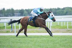 i-hzmrcZc-X3 Thunder Mack.jpg