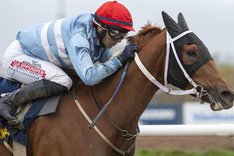 i-jwsrZp8-X3 Scarlett vinner Jockeyklubbens Avelslöpning 2022 redigerat