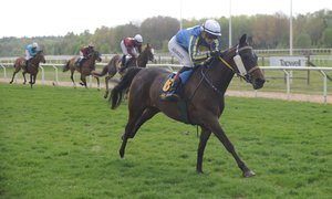 i-jxXZXPL-X3 O´Dahe vinner den 14 maj