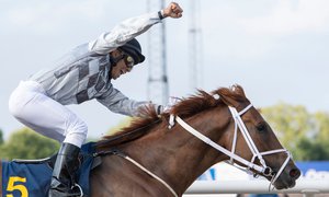 i-m4rxkKT-X3 Nocentsinkentucky och Valmir De Azeredo vinner Zawawi Cup 2021