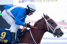 i-mLKr7Kp-X3 Brookhaven och Shane Karlsson kopia