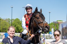 i-mbJKdpk-X2 Dharwin kopia 2