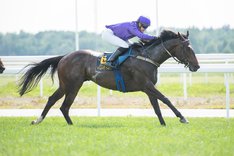 i-rWNFFb6-X3 Archie.jpg