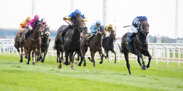 i-rpgmVV8-X3 Slava Ukraini och Maxmartin slåss om segern i Breeders' Trophy Classic
