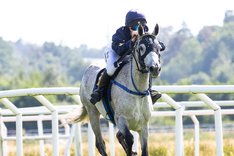 i-s7VrhXL-X3 Kitford Ruby kopia