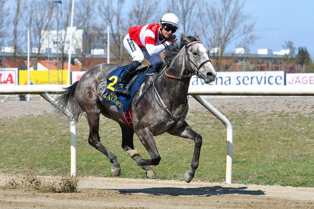i-sWJwQhQ-X3 Duca Di Como vinner Spring Mile 2020