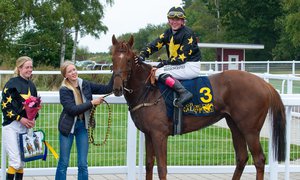 i-tx3VL8L-X2 Started It All på Göteborg Galopp 1 oktober 2022 kopia