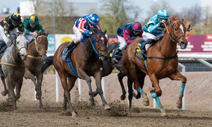 i-z5zNtTq-X3 Upploppet ITM Spring Mile 2022