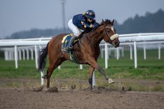 i-zDRqPTJ-X2 Isidor.jpg