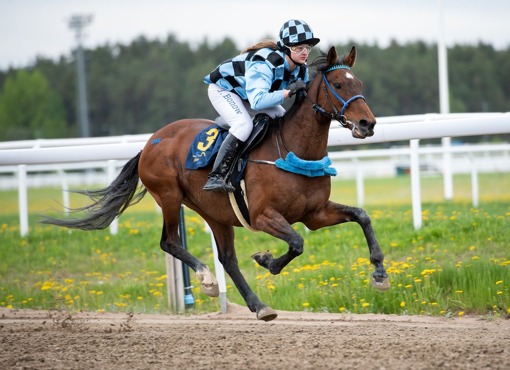 i-zjPhfsK-X2 Shes a Superstar och Josefina huvudbild.jpg