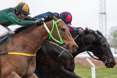 ITM Spring Mile 2023