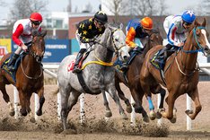 Jägersro - race - TOP