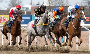 Jägersro - race - TOP