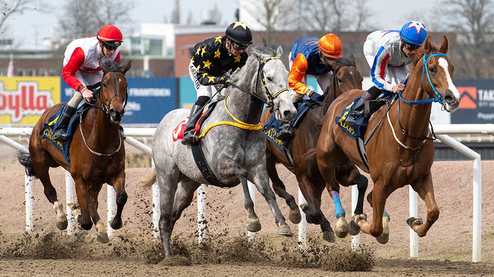 Jägersro - race - TOP