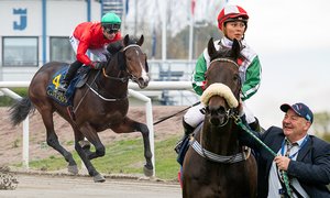 King Cooper och Alfaares