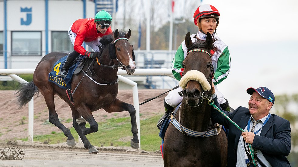 King Cooper och Alfaares