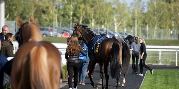 ledvolt