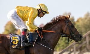lord-greystoke-top