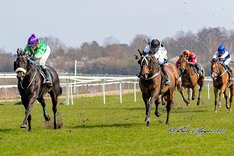 lvdZkyVU Sir Macken på Klampenborg 15 april